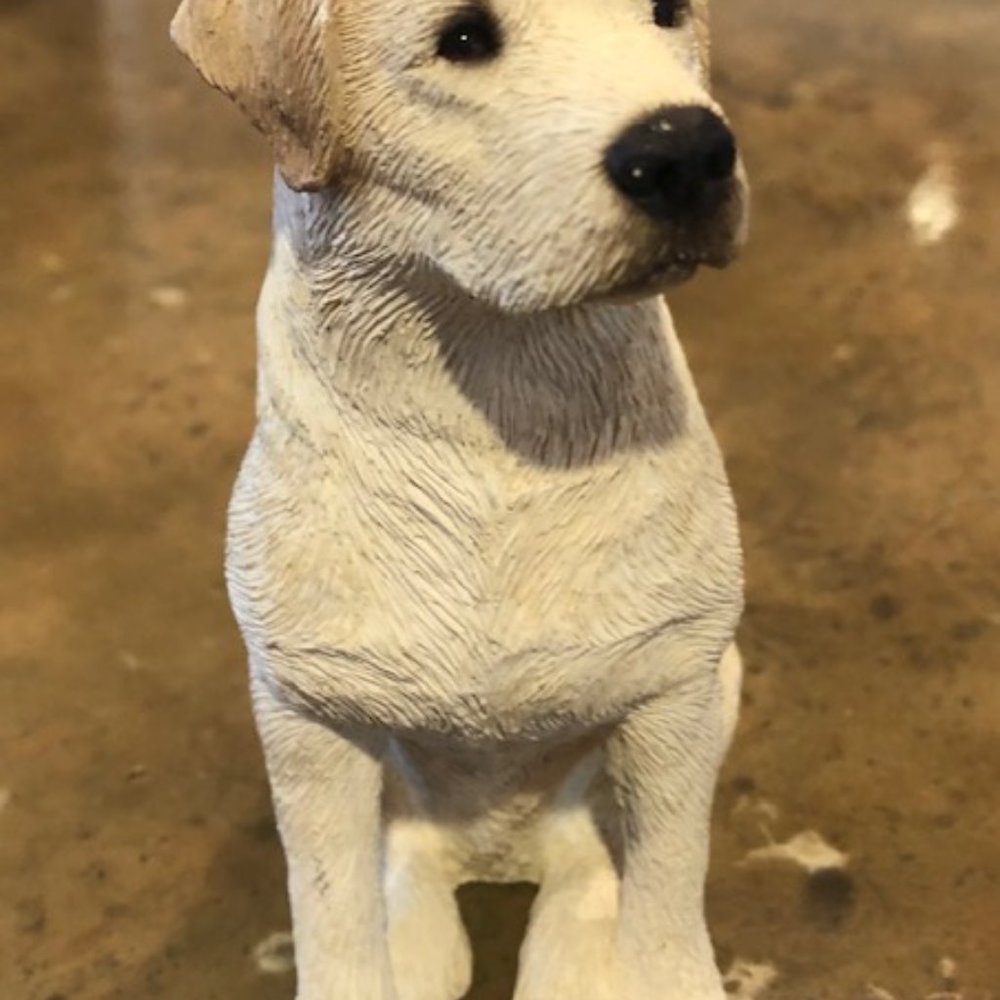 Sandicast Yellow Labrador